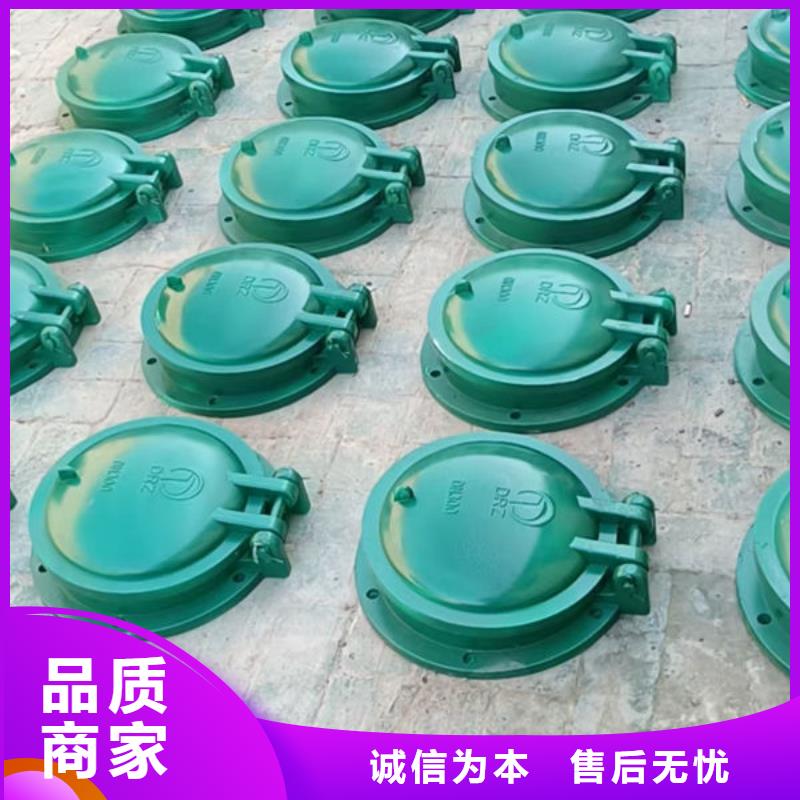 拍门球墨铸铁拍门生产厂家