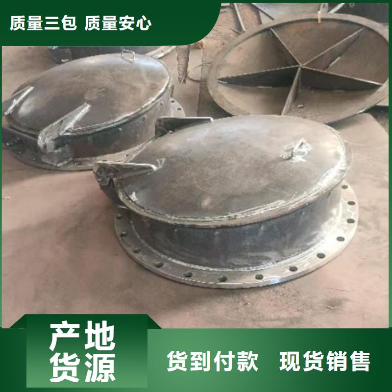 拍門復(fù)合材料拍門定制速度快工期短