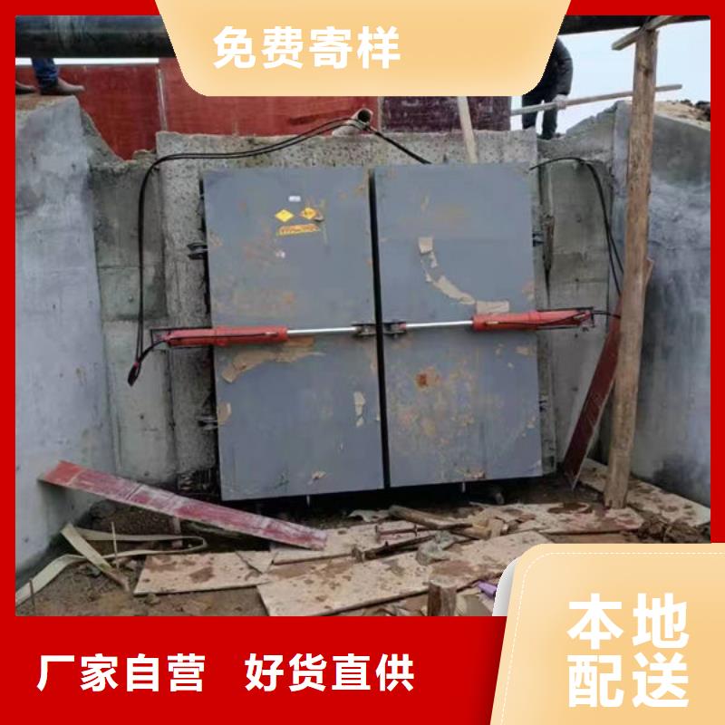 拍門(mén)球墨鑄鐵拍門(mén)廠家型號(hào)齊全