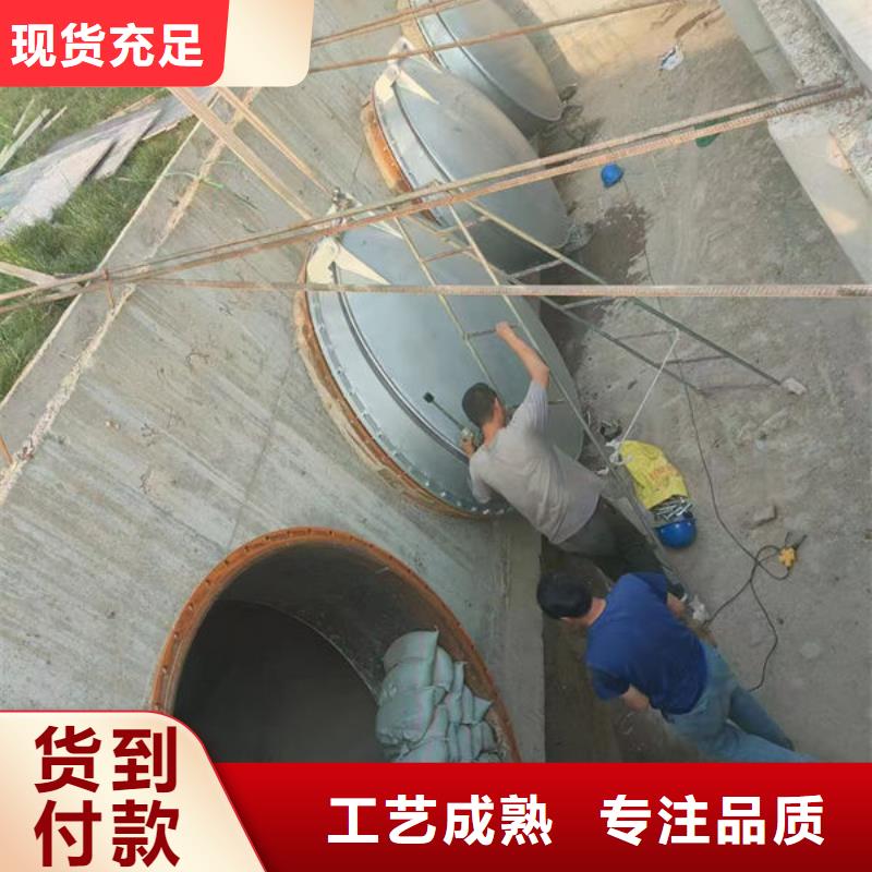 拍门-防倒灌拍门质量优选
