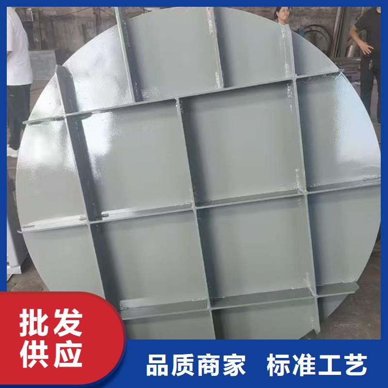 拍門,不銹鋼拍門產(chǎn)品細節(jié)