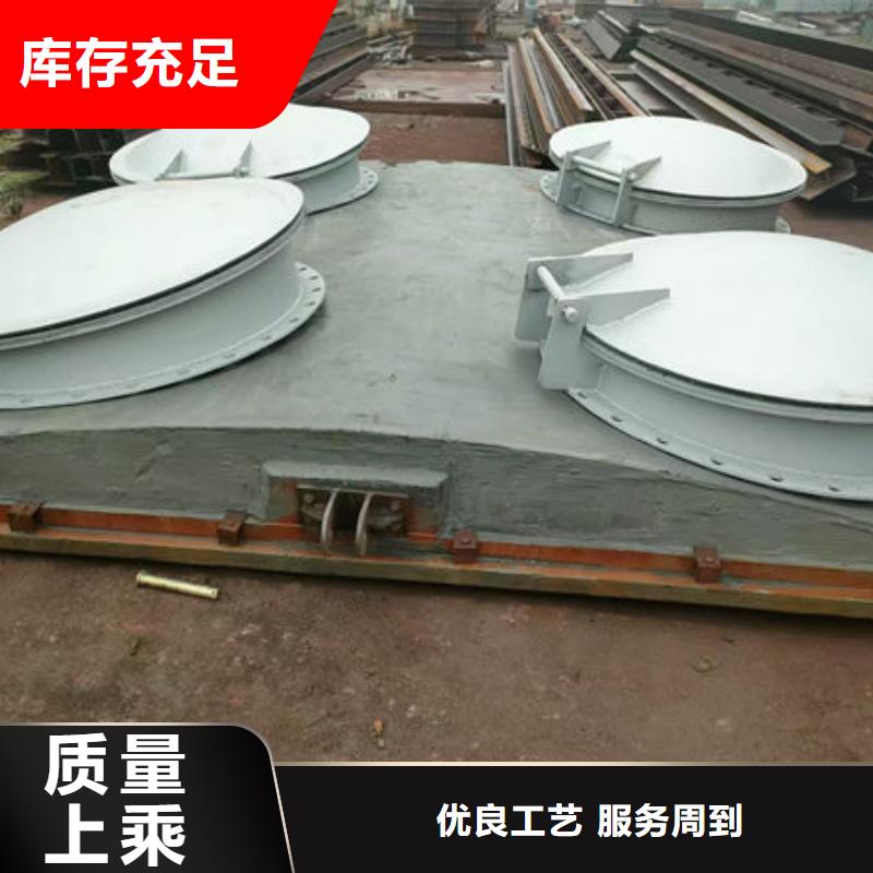 拍门不锈钢拍门现货满足大量采购