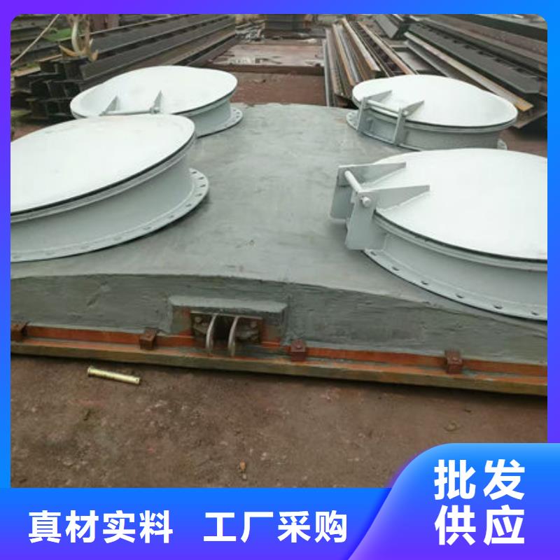 拍门_钢拍门出厂严格质检