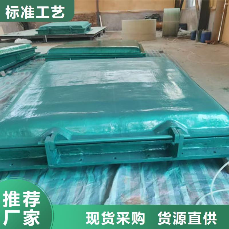 拍門(mén)球墨鑄鐵拍門(mén)品質(zhì)商家
