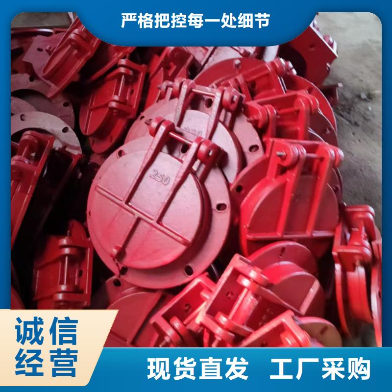拍门球墨铸铁拍门多年厂家可靠