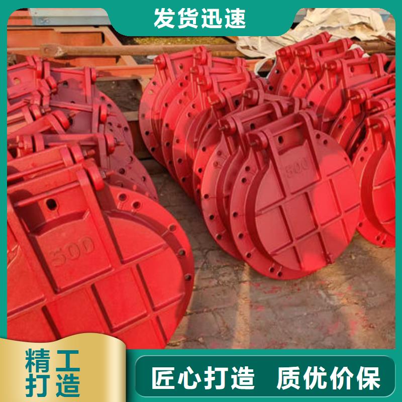 拍门球墨铸铁拍门多年厂家可靠