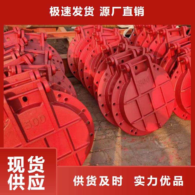 拍門不銹鋼拍門專業(yè)設(shè)計(jì)