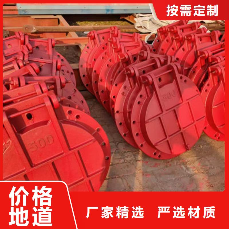 拍门球墨铸铁拍门多年厂家可靠