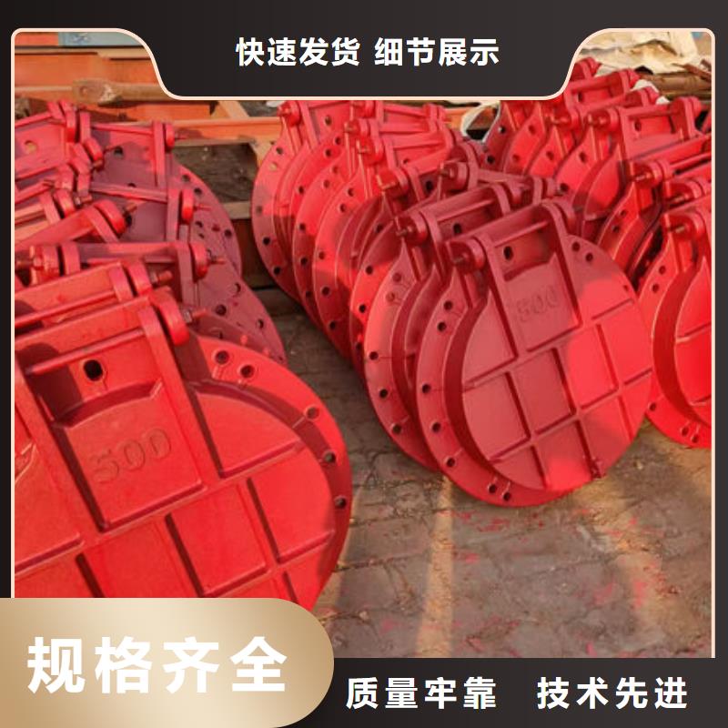 拍門不銹鋼拍門專心專注專業(yè)