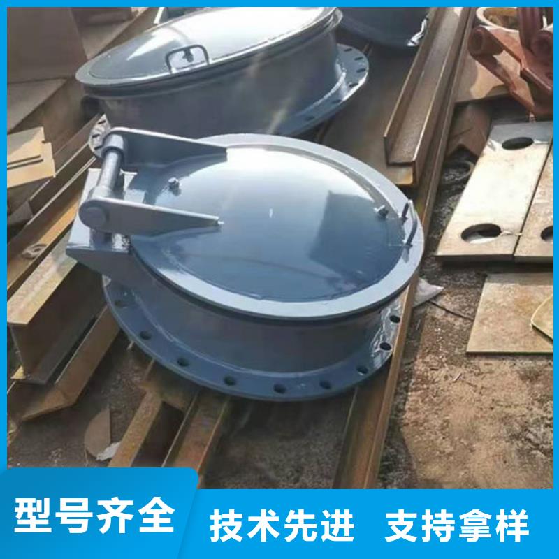 拍門(mén)球墨鑄鐵拍門(mén)支持貨到付清
