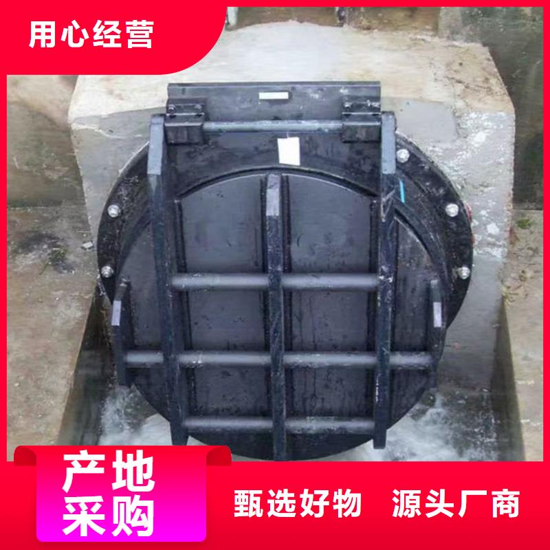 拍门球墨铸铁拍门多年厂家可靠