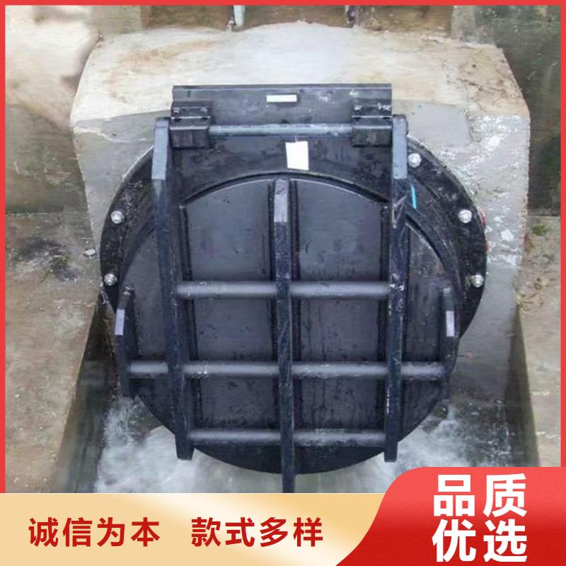 拍门圆拍门实力商家