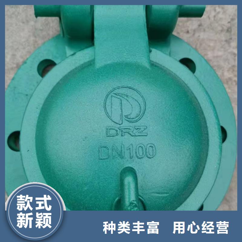 拍門球墨鑄鐵拍門精心打造