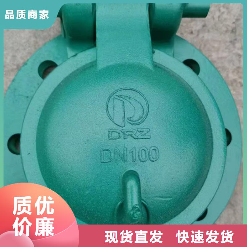 拍門-防倒灌拍門產(chǎn)品細(xì)節(jié)