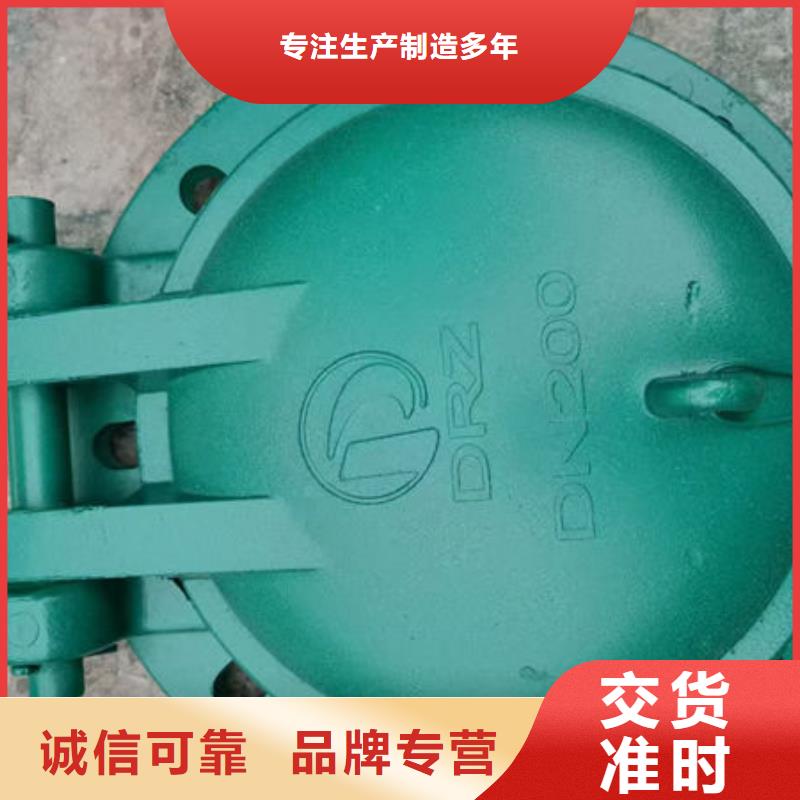 拍門鋼制拍門按需設(shè)計(jì)
