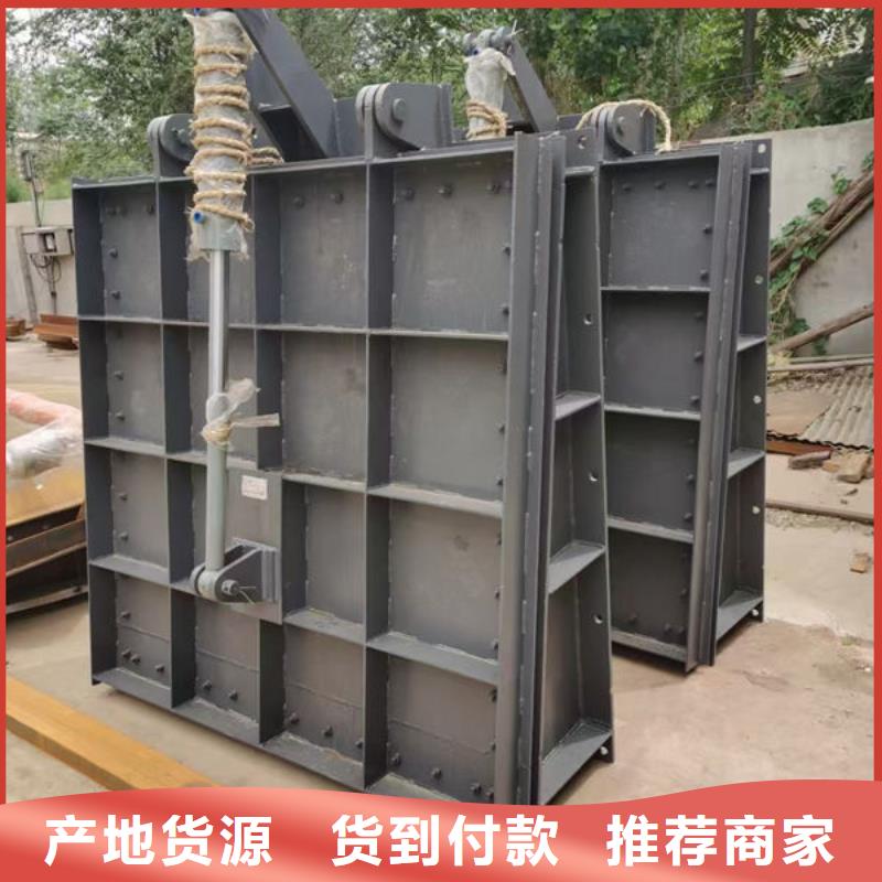 拍门球墨铸铁拍门多年厂家可靠