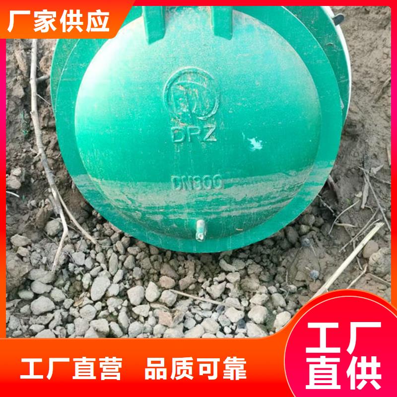 拍門,復(fù)合材料拍門選擇大廠家省事省心