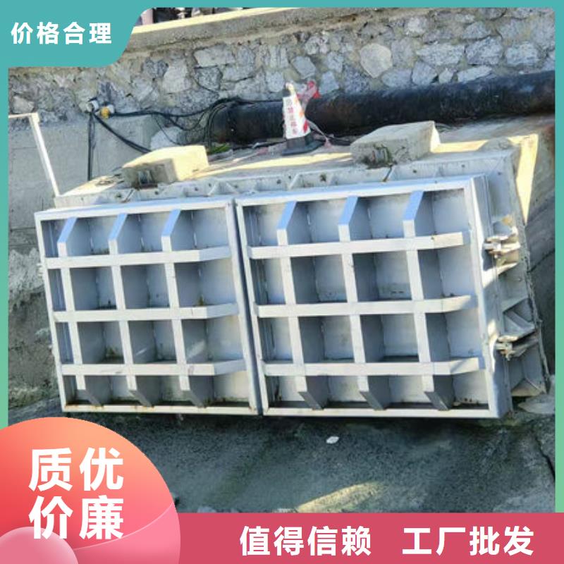 拍門方拍門實(shí)力派廠家