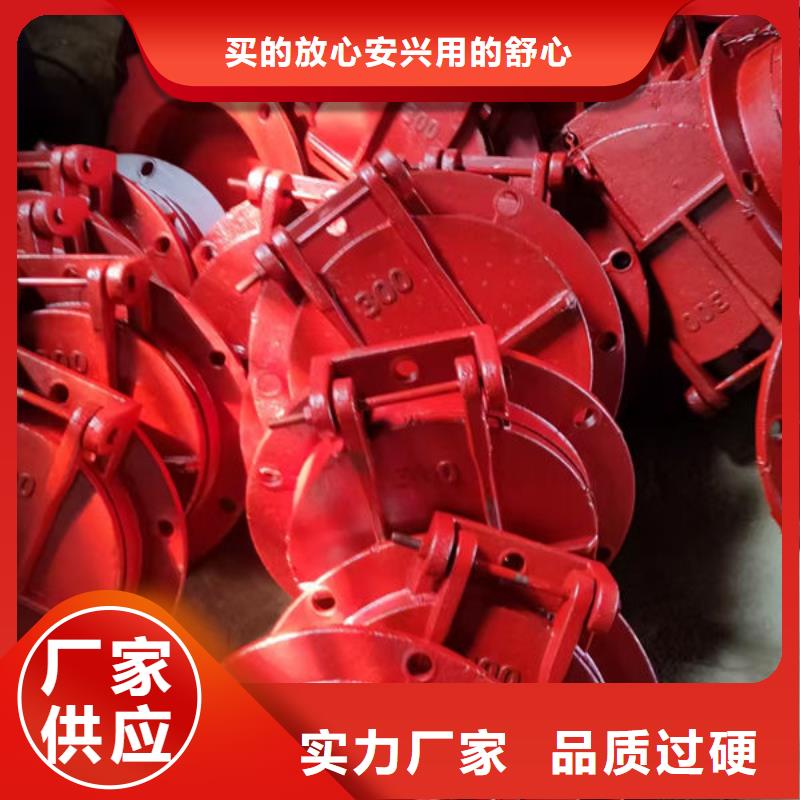 拍门-球墨铸铁拍门物美价优