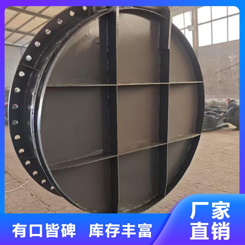拍门球墨铸铁拍门多年厂家可靠