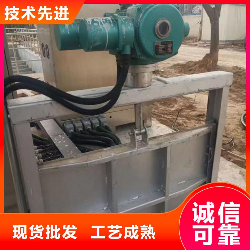 不銹鋼閘門單面止水不銹鋼閘門廠家大量現(xiàn)貨