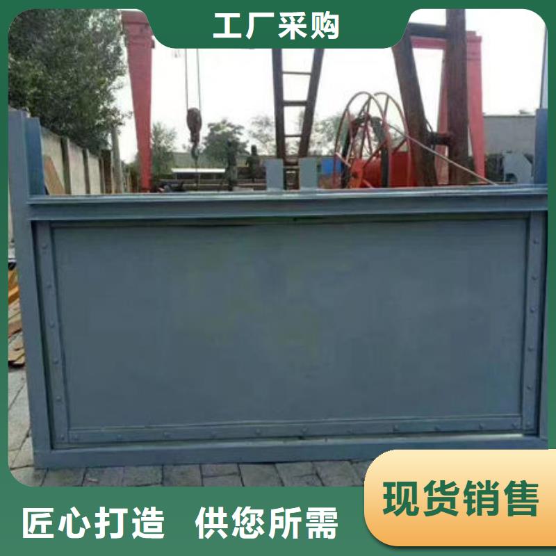 不銹鋼閘門不銹鋼渠道閘門實(shí)力商家