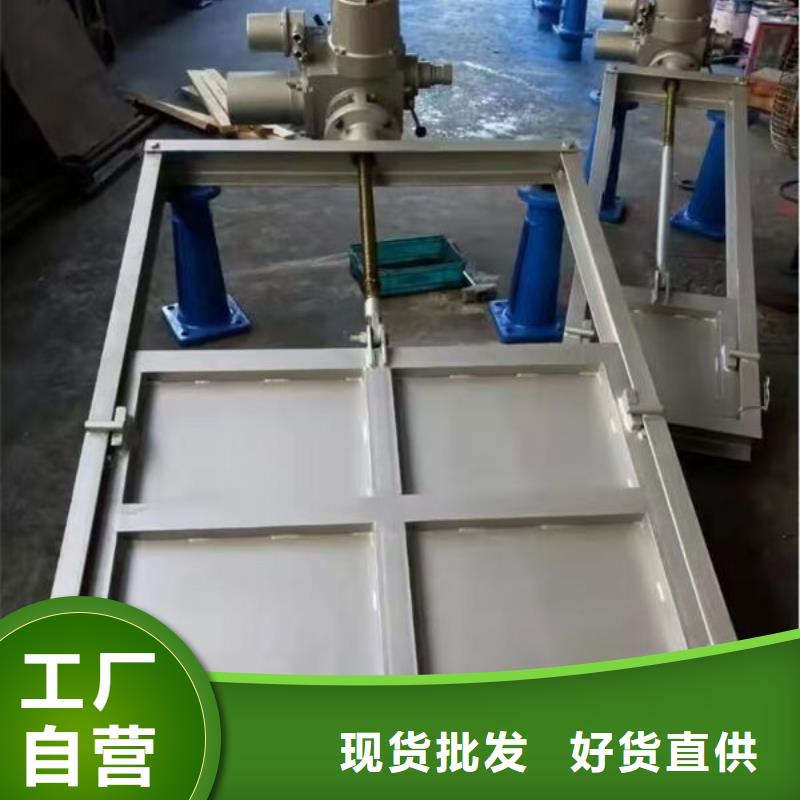 不銹鋼閘門單面止水不銹鋼閘門品質(zhì)值得信賴