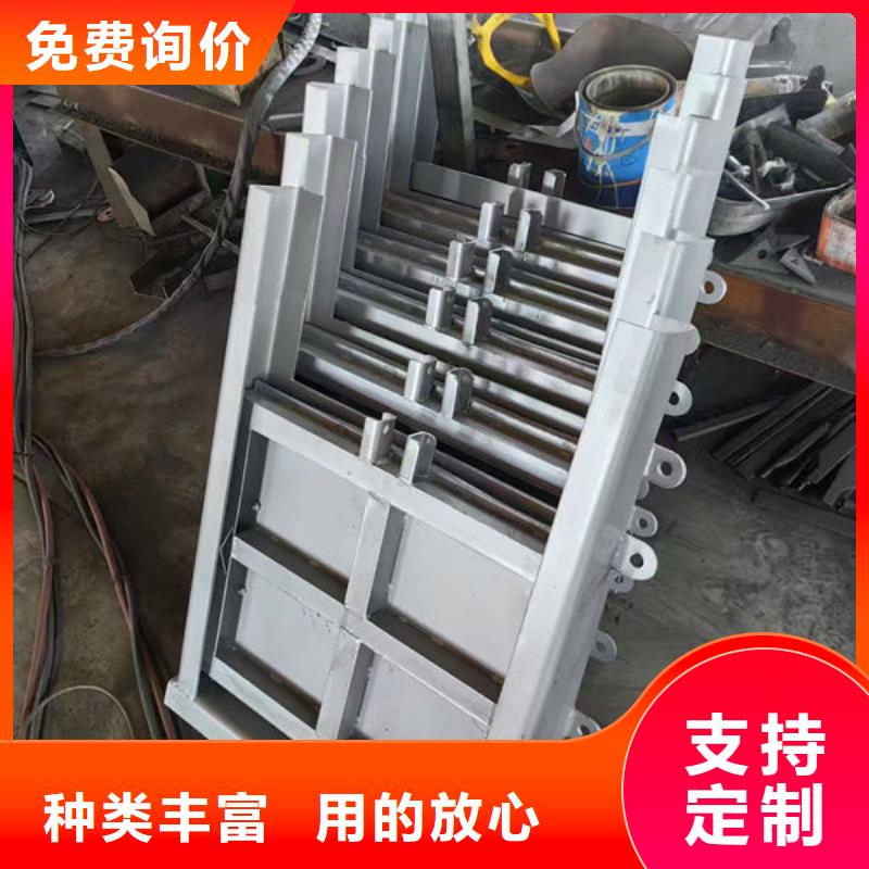 不銹鋼閘門附壁式不銹鋼閘門廠家新品