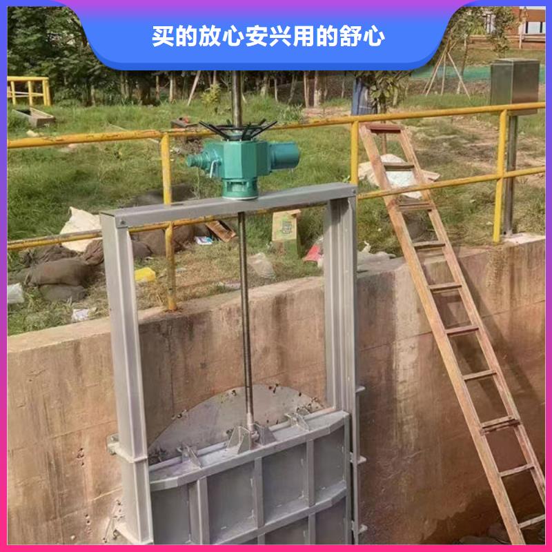 不銹鋼閘門_單面止水不銹鋼閘門批發(fā)貨源