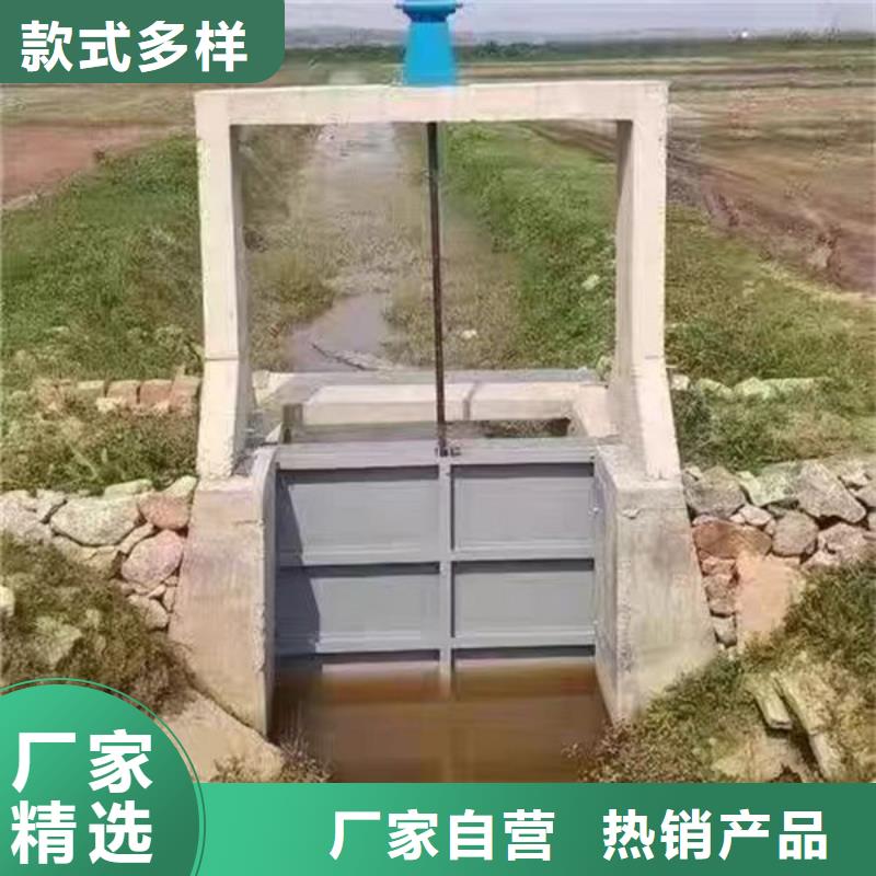 不锈钢闸门不锈钢圆闸门实力厂商