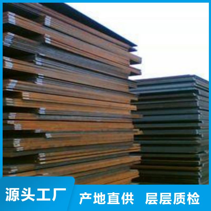 高強鋼板合金板卓越品質(zhì)保障