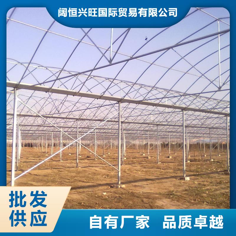 镀锌大棚管TU1高导电无氧铜带优质原料