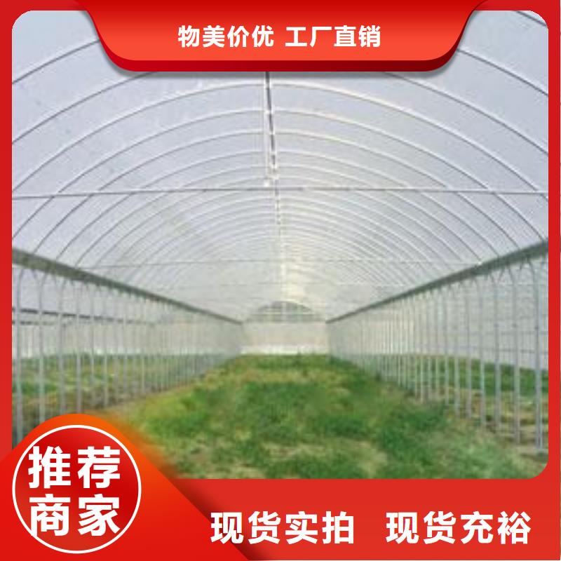 鍍鋅大棚管帶紫銅排廠家直銷規(guī)格多樣