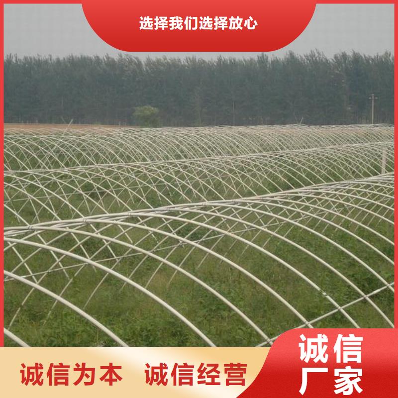 鍍鋅大棚管帶紫銅排廠家直銷規(guī)格多樣