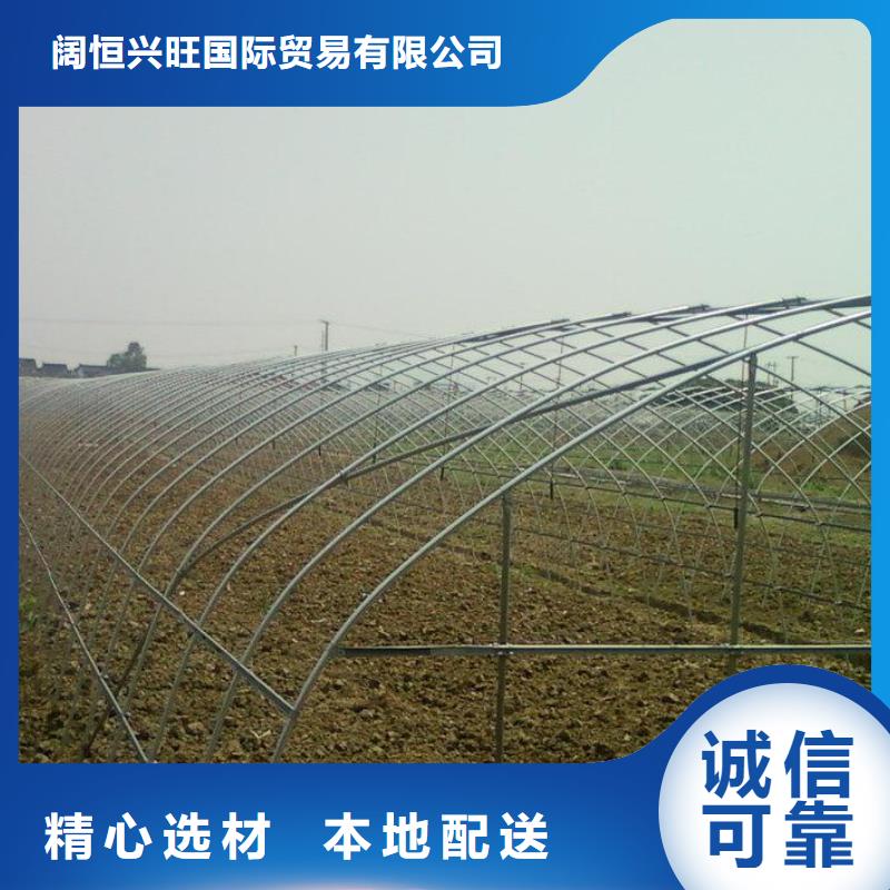 镀锌大棚管高纯紫铜排厂家工艺先进