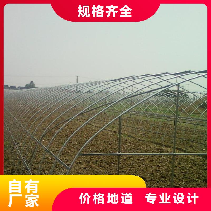 镀锌大棚管高纯紫铜排厂家工艺先进
