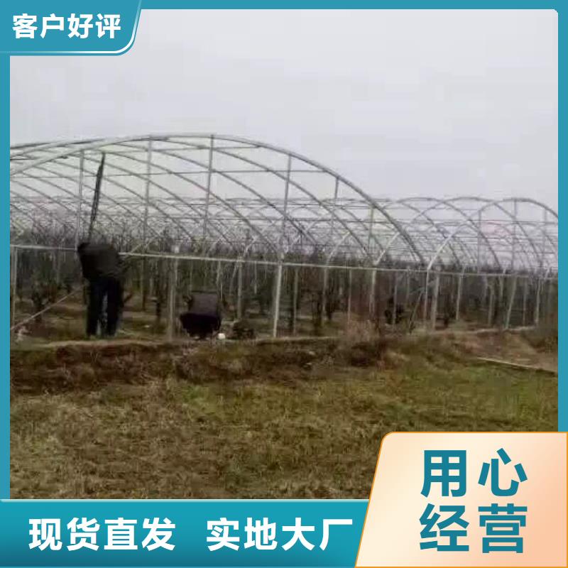 鋼管高純度紫銅排高質(zhì)量高信譽(yù)
