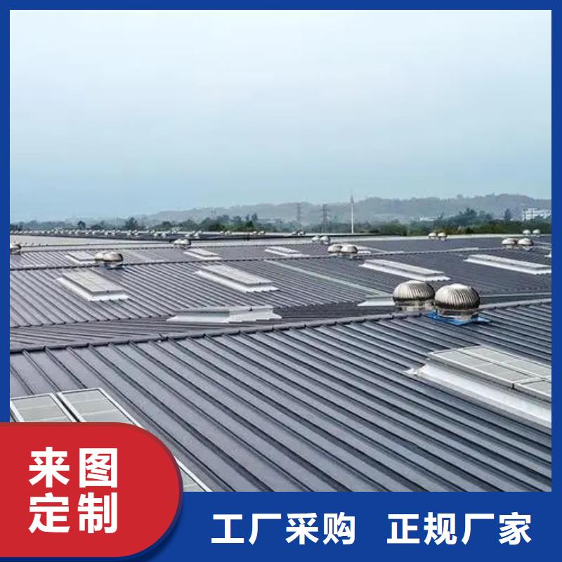 县通风气楼厂家