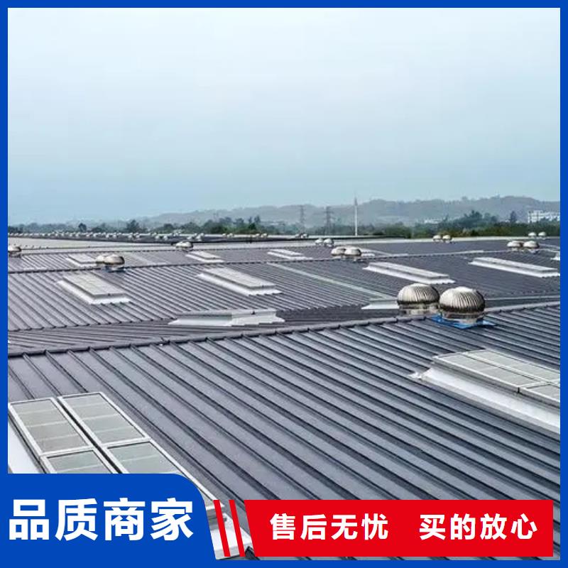 啟閉式通風(fēng)天窗按需定制
