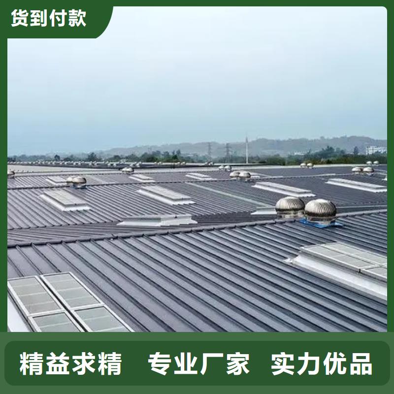 临屋脊通风气楼质量保证
