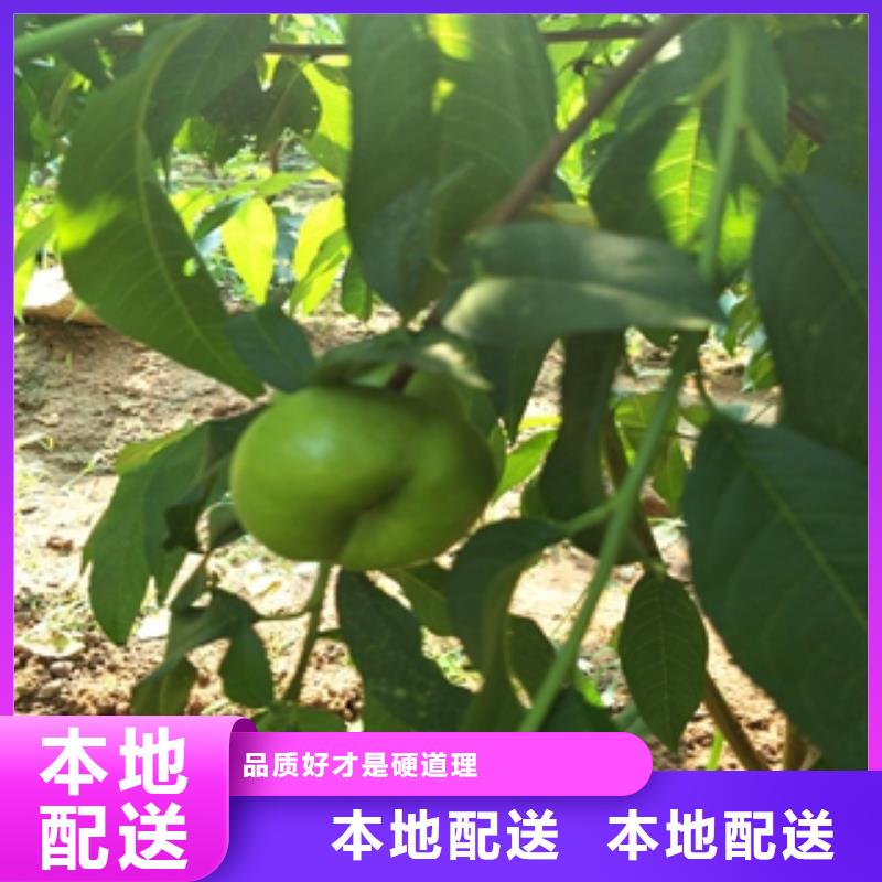 桃樹(shù)泰山景松造型景松價(jià)格實(shí)在