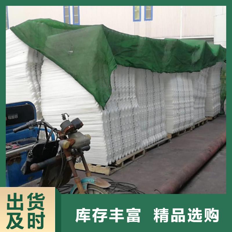 蜂窝斜管陶粒品质服务