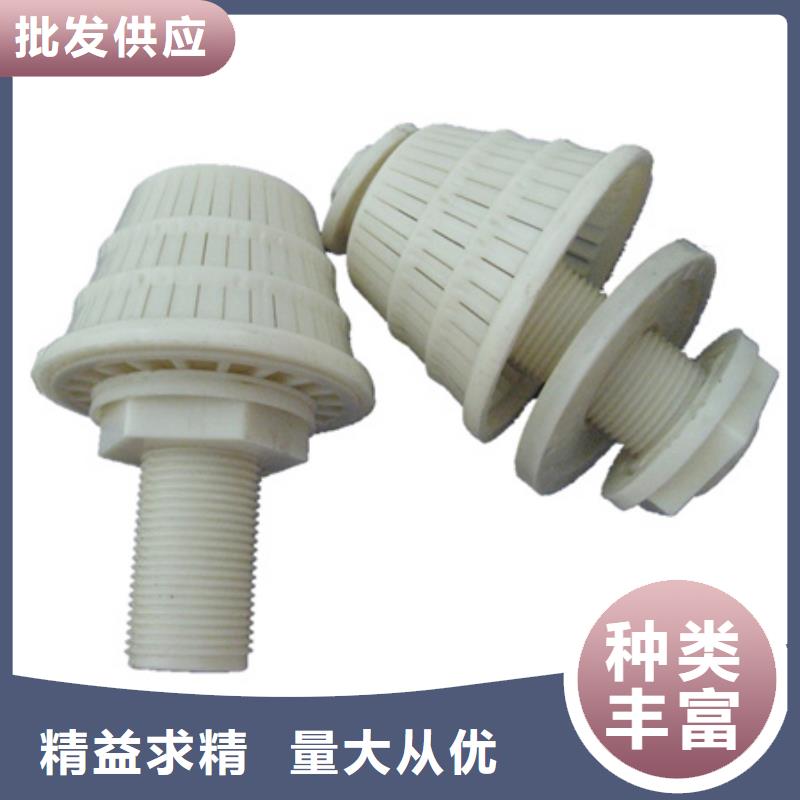 濾頭帽沸石追求品質(zhì)
