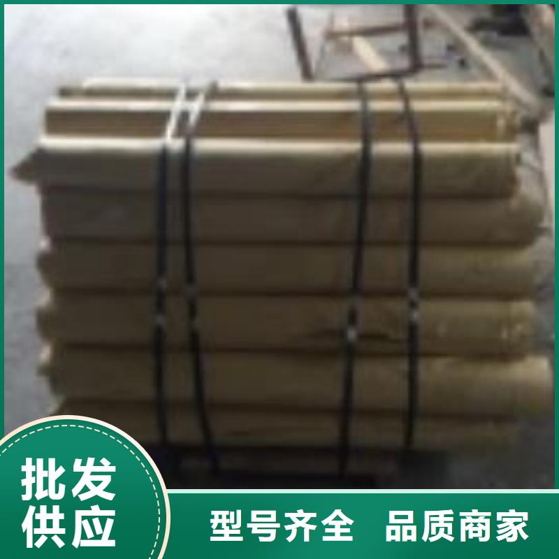 X射线防护铅门规格定制正规厂家
