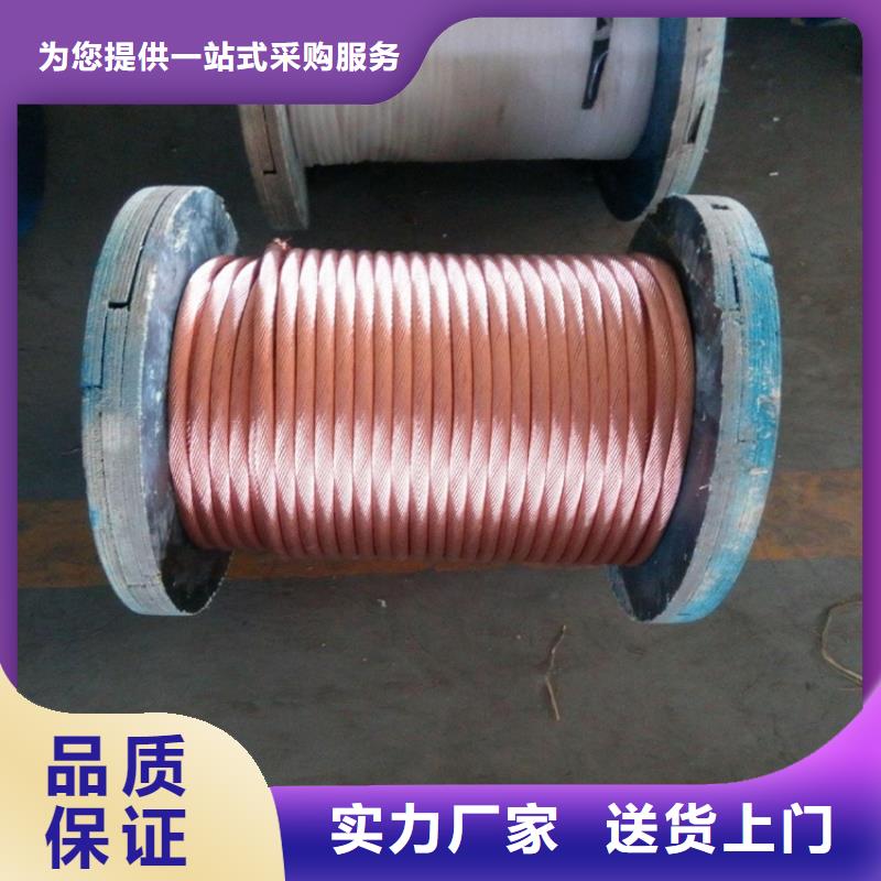 銅絞線紫銅帶質(zhì)優(yōu)價保