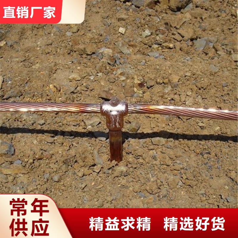 銅絞線-黃銅棒貨源直供