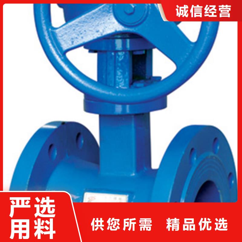 【蝶阀远大天津支持大小批量采购】