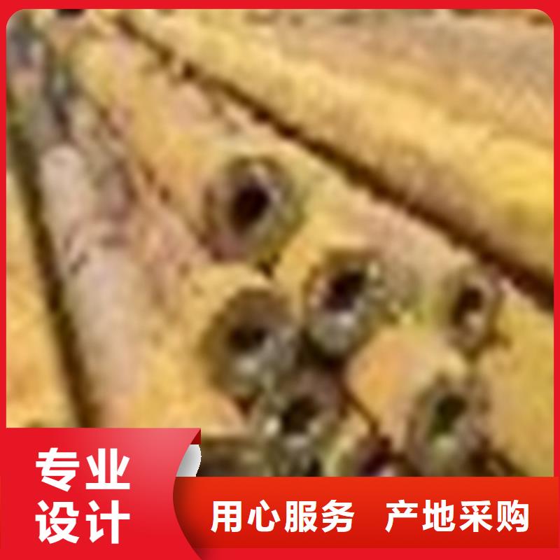 無縫鋼管P11無縫鋼管源廠定制