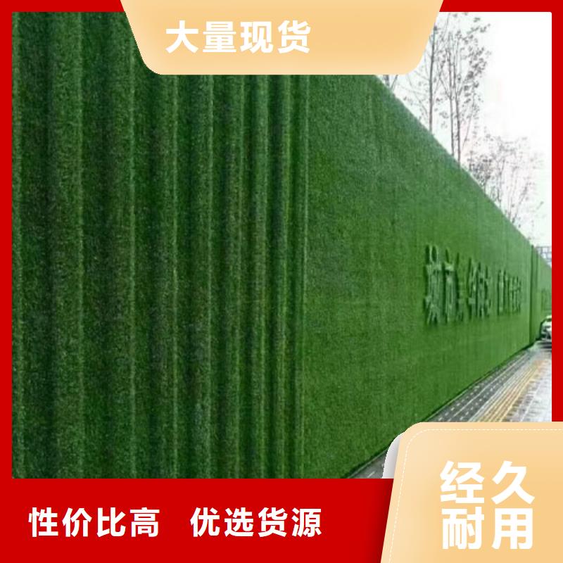 圍擋草坪支持定制