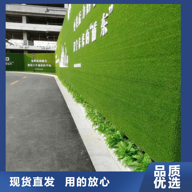 围挡草坪工地人造草坪围挡用心服务
